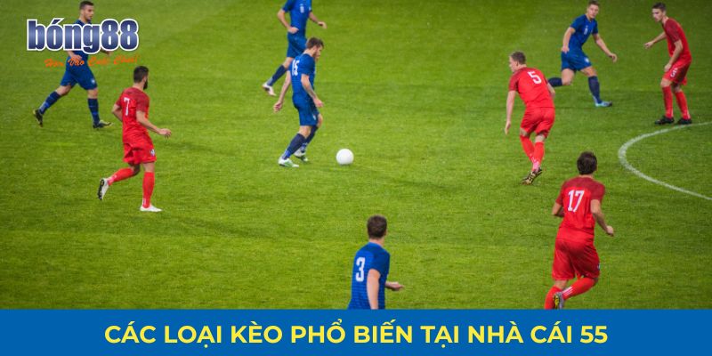 Các loại kèo thường thấy tại kèo nhà cái 55