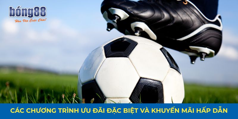 Các chương trình ưu đãi đặc biệt và khuyến mãi hấp dẫn